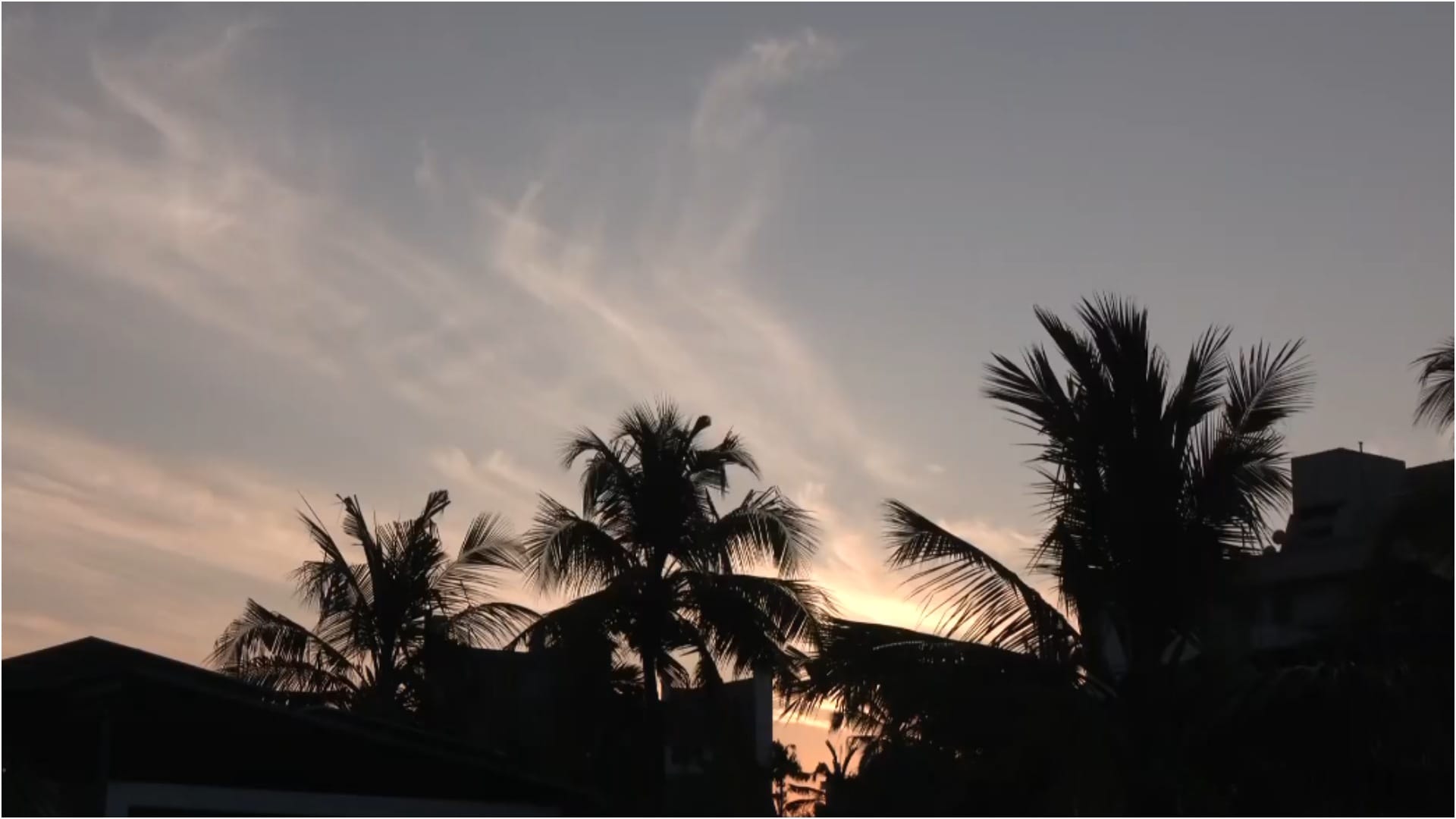 2025 brought a new dawn of new hopes and enthusiasm, the first morning of the new year was like this; see pics