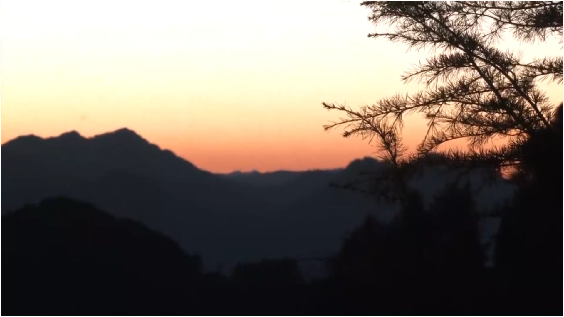 2025 brought a new dawn of new hopes and enthusiasm, the first morning of the new year was like this; see pics