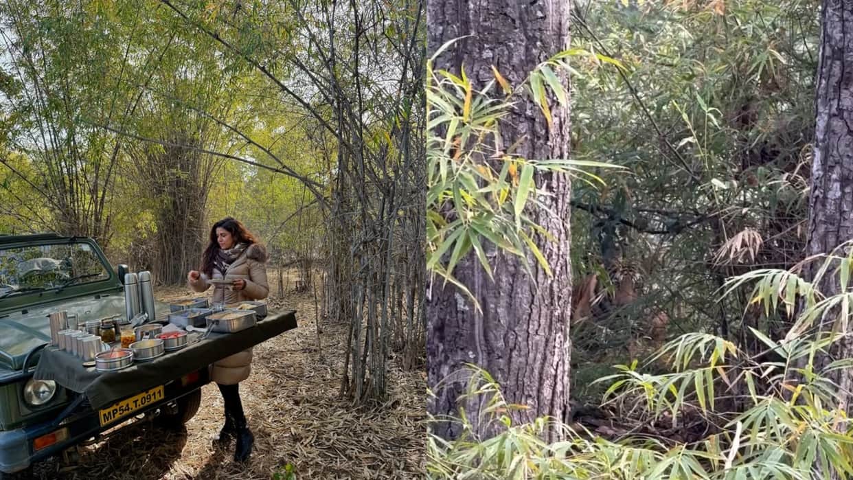 Sky Force Actress Nimrat Kaur Enjoys New Year 2025 first Breakfast in jungles of Bandhavgarh