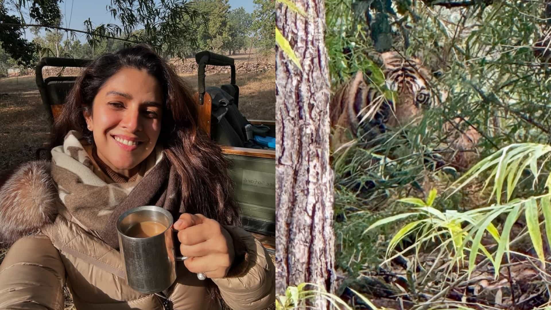 Sky Force Actress Nimrat Kaur Enjoys New Year 2025 first Breakfast in jungles of Bandhavgarh