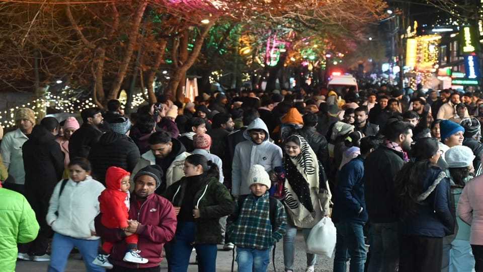 New Year 2025: New Year Eve celebration in Nainital