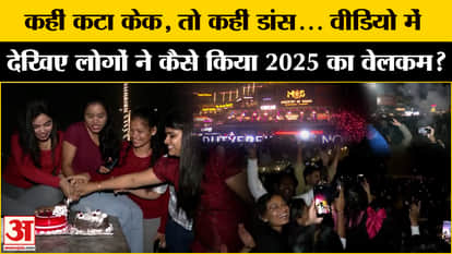 New Year 2025: Watch the video to see how the New Year was welcomed across the country
