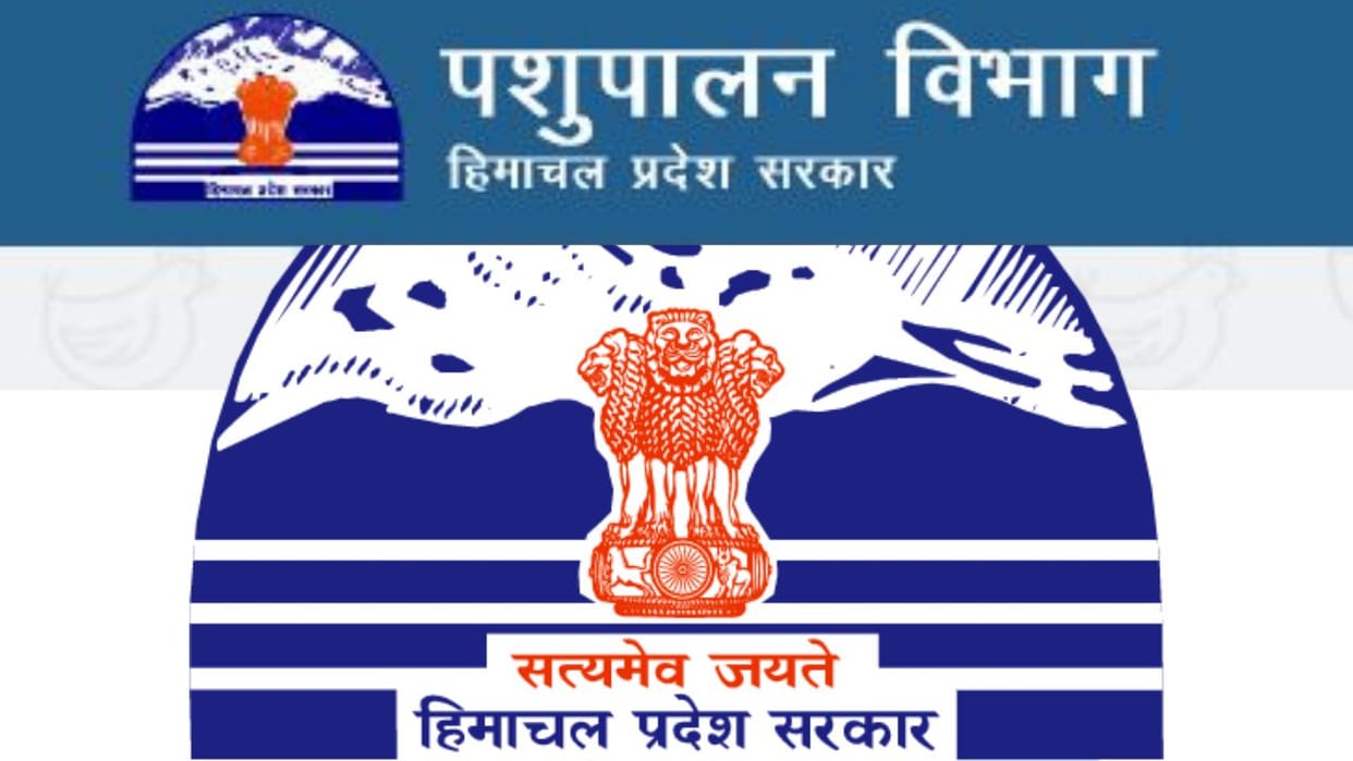 Himachal News Battle for Animal Husbandry Director reaches Delhi