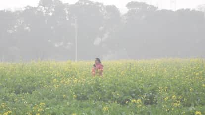 Night temperature drops 2 degrees below normal in Punjab, Adampur continues to be the coldest