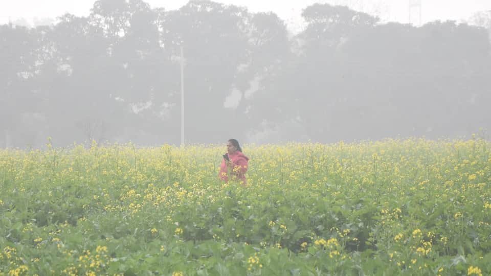 Cold wave plunges mercury in Punjab Adampur coldest