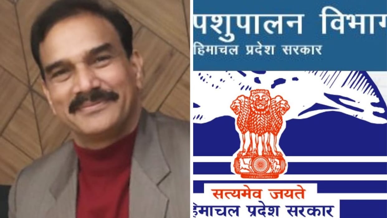 Himachal News Animal Husbandry Director Re employed Dr Pardeep Kumar Sharma Shimla