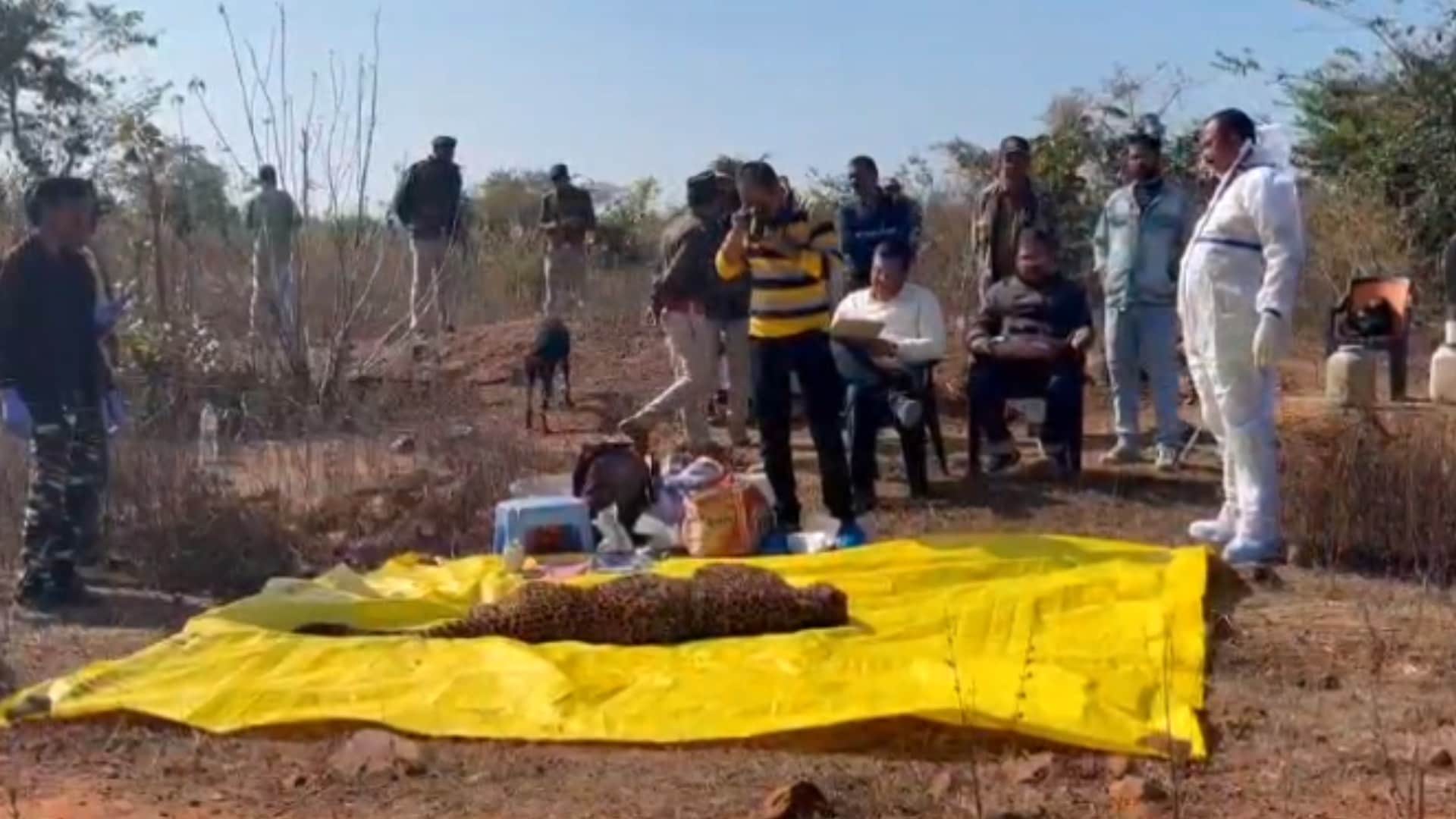 पन्ना में तेंदुए का शव मिला है।