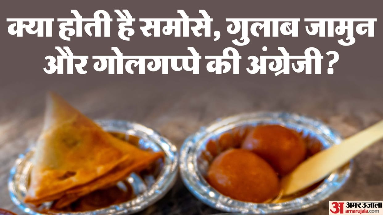 what are english names of samosa jalebi panipuri kachori rayta what to says in english