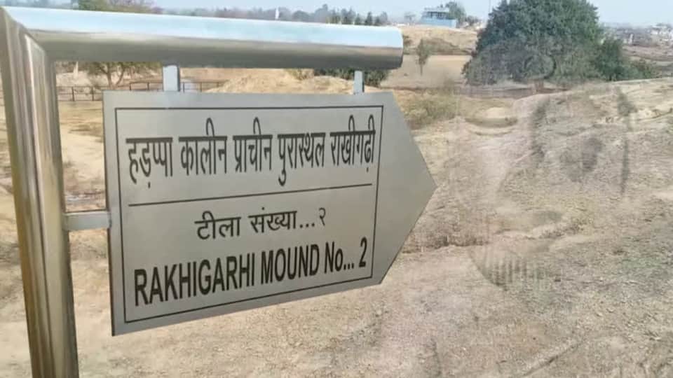 Haryana leads in archaeological excavations Highest expenditure on Rakhigarhi Agroha sites ASI