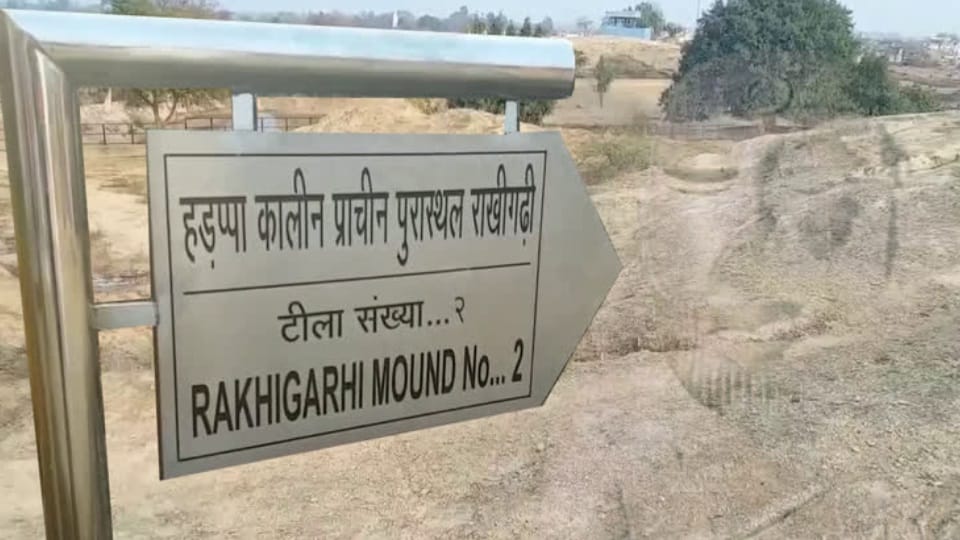 Haryana leads in archaeological excavations Highest expenditure on Rakhigarhi Agroha sites ASI