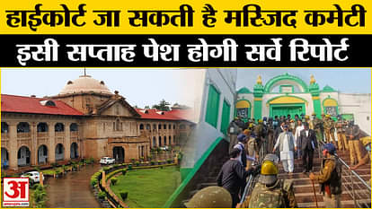 Sambhal Controversy: Jama Masjid Committee may file petition in High Court