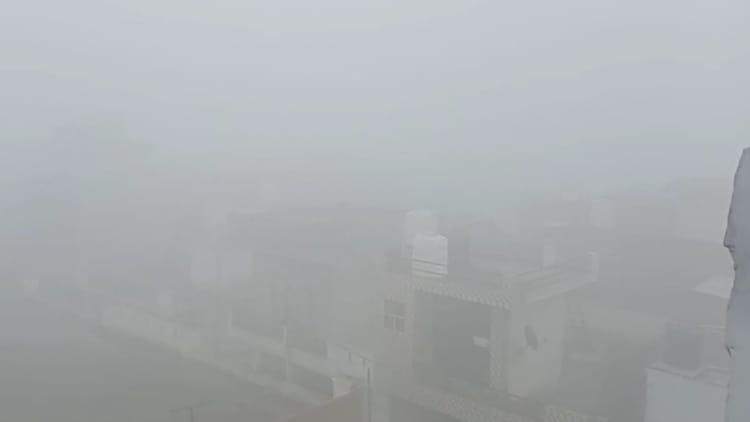 Severe Cold In Punjab Cold Wave Alert Mausam Update – Amar Ujala Hindi News Live