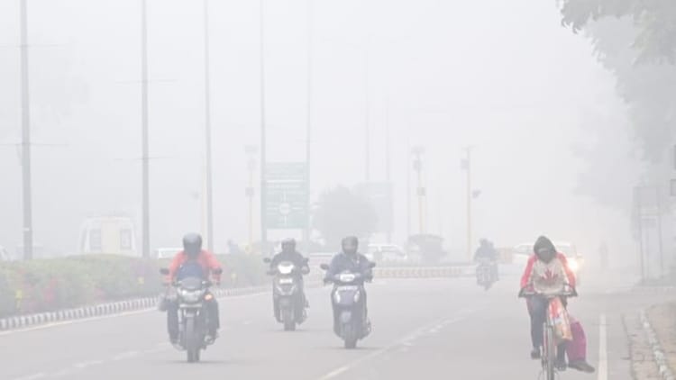 Fog Orange Alert In Chandigarh For Next Three Days Weather News – Amar Ujala Hindi News Live