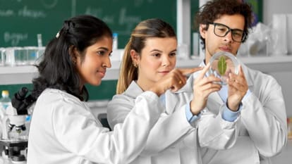 New courses launched by IIT Delhi in 2024: List of UG, PG, Ph.D programs here, read details