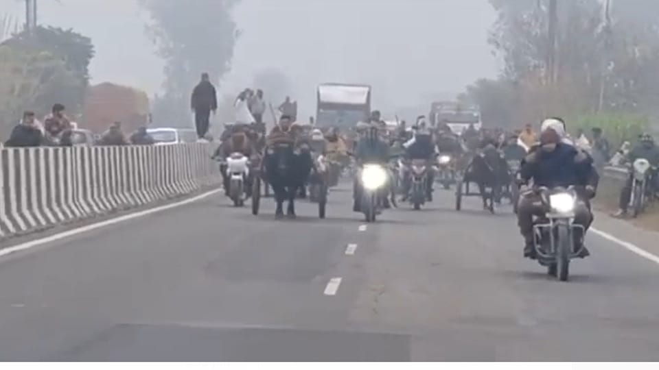 Baghpat: Buffalo buggy race was organized on the National Highway, there was a jam