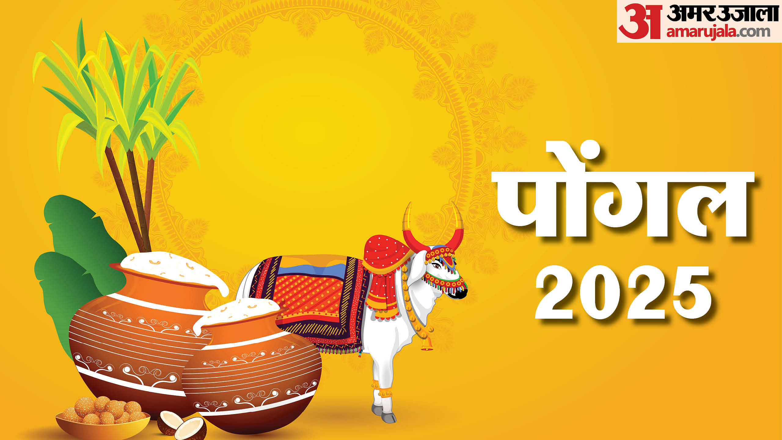 Pongal 2025 Date History Rituals And Significance Know Details In Hindi