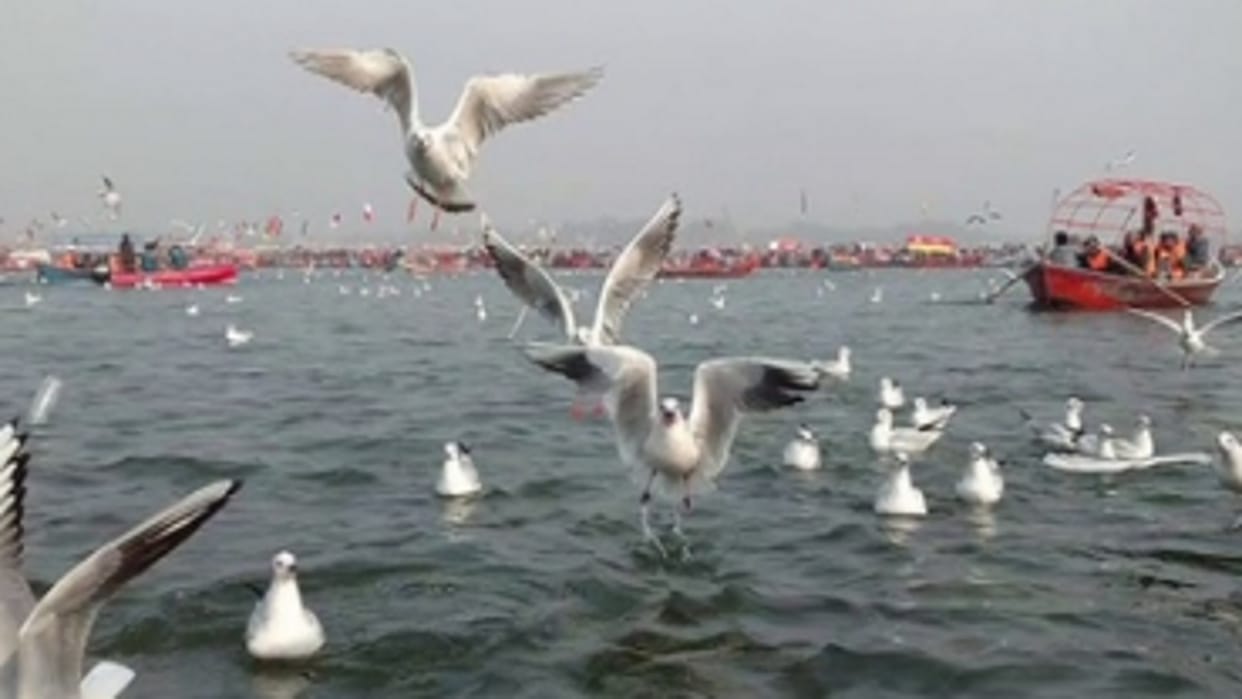 Plants treating waste water of 23 untapped drains of Prayagraj