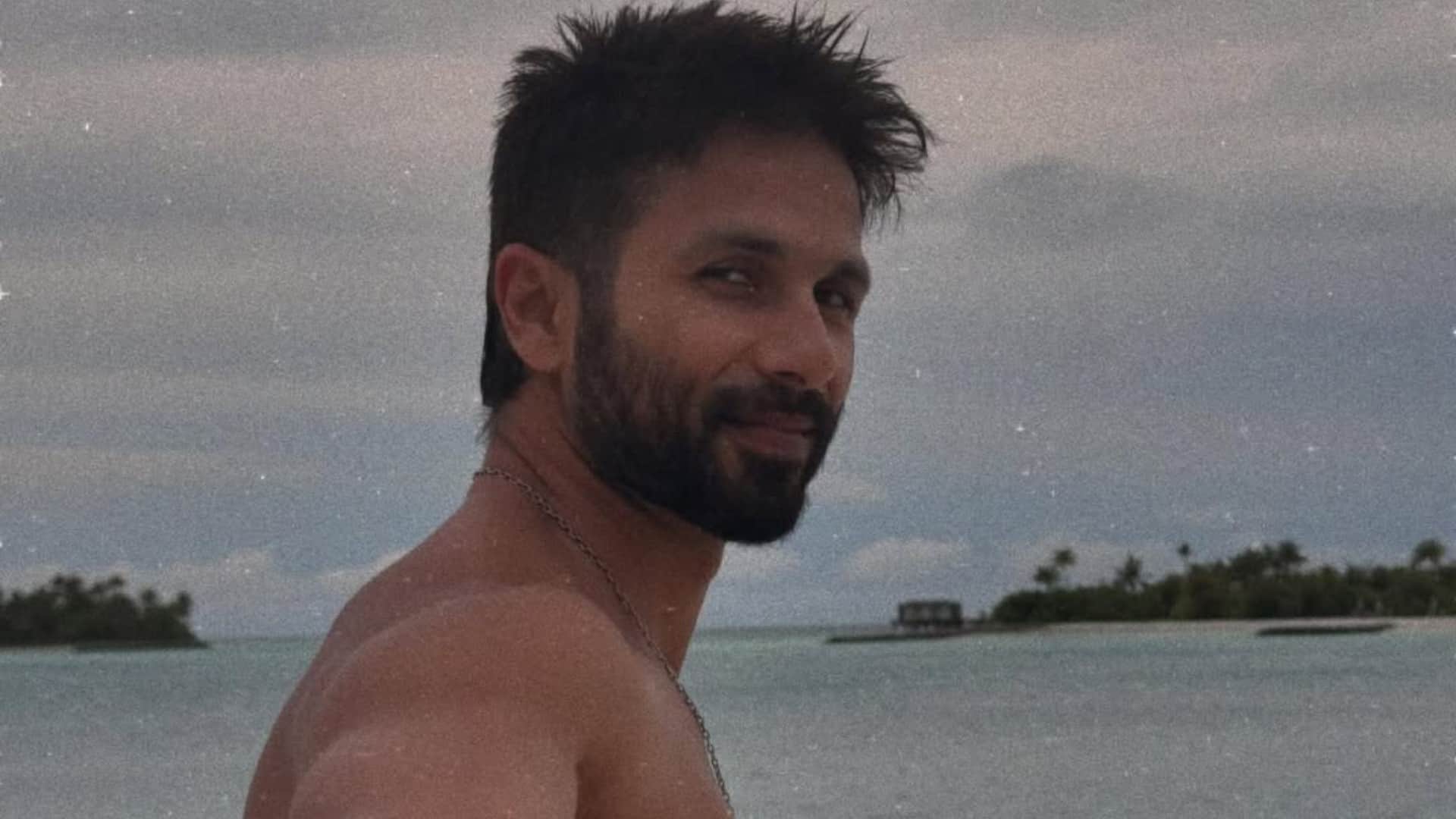 Shahid Kapoor said this about heartbreak and partner in Interview also talk about love and Relationship