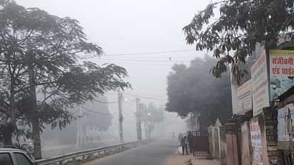 Bihar Weather: Yellow alert issued in 23 districts of Bihar, dense fog in these districts including Patna