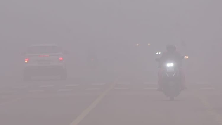 Fog In Chandigarh Mausam Update – Amar Ujala Hindi News Live