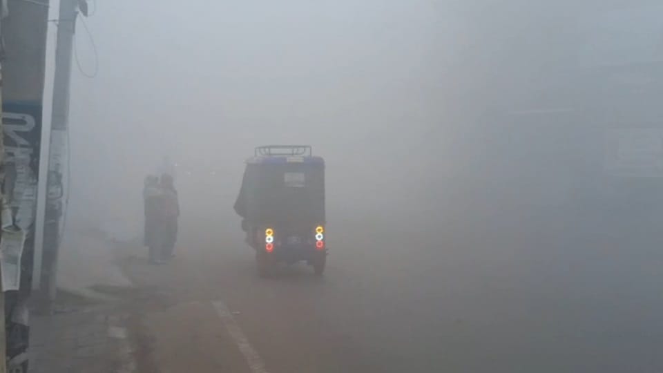 Punjab Weather Forecast Today: IMD Alert Dense Fog and Cold Wave in Punjab Mausam News in Hindi