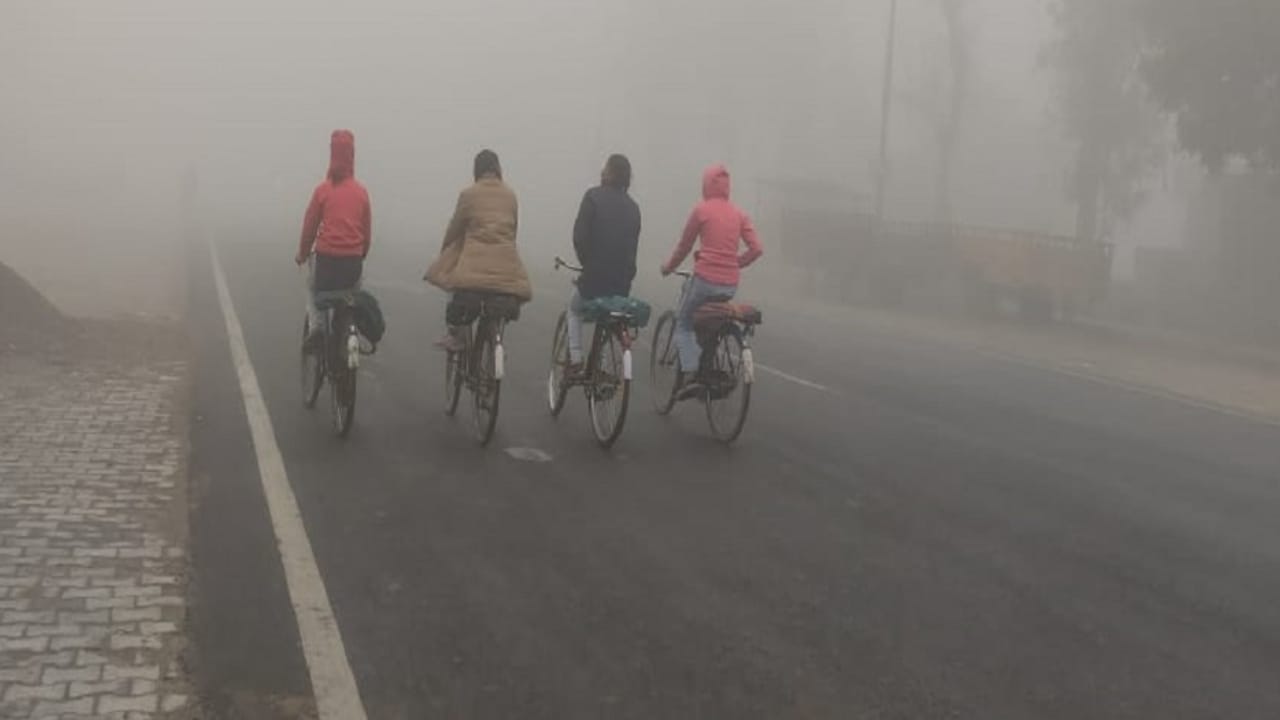 dense fog in bareilly visibility zero in Kheri people shivering due to the cold