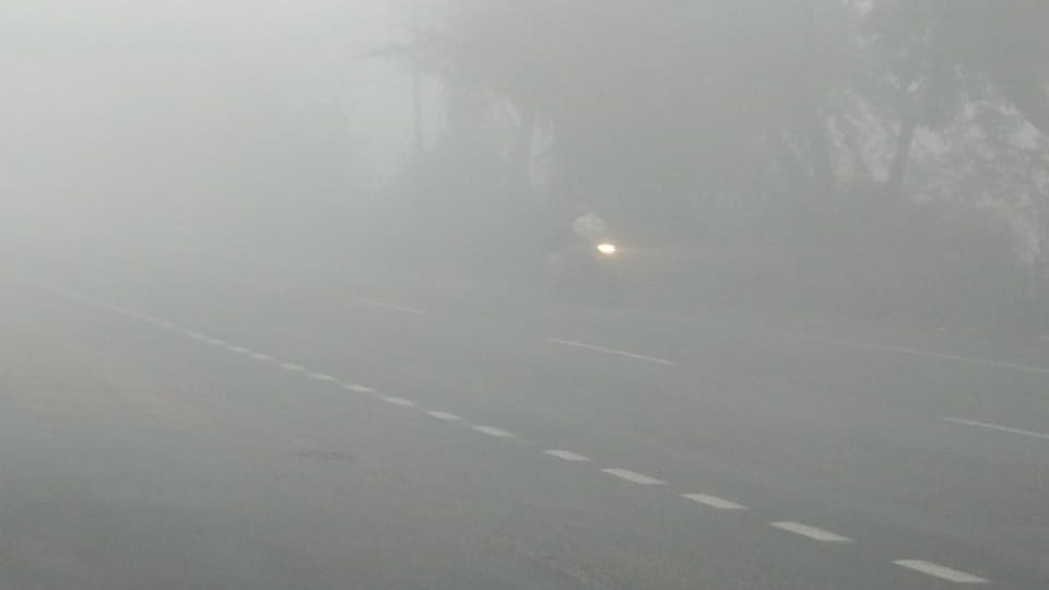 Severe Fog in Haryana mausam update news
