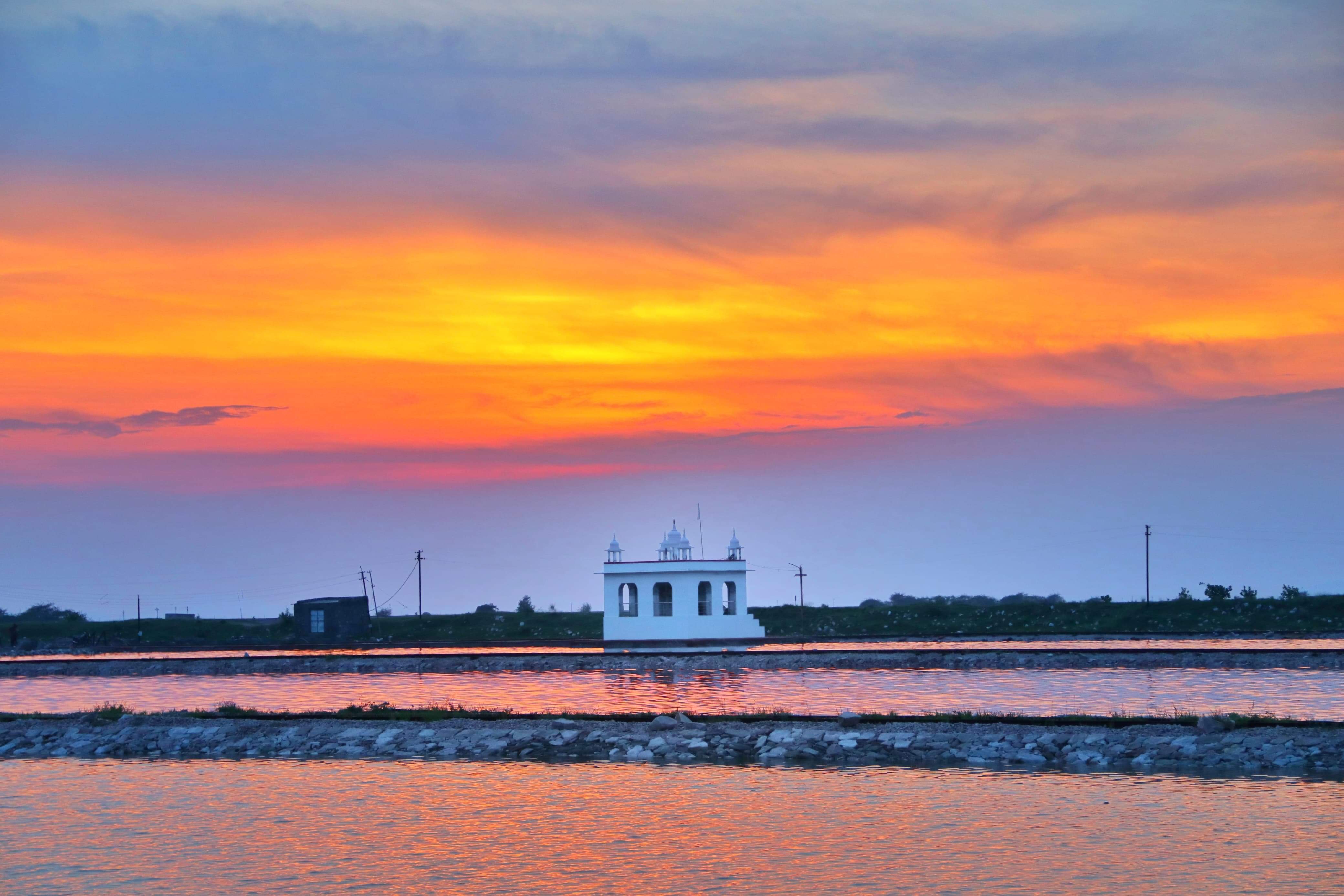 Rajasthan News: Sambhar lake is full of beauty of migratory birds Jaipur Hindi News