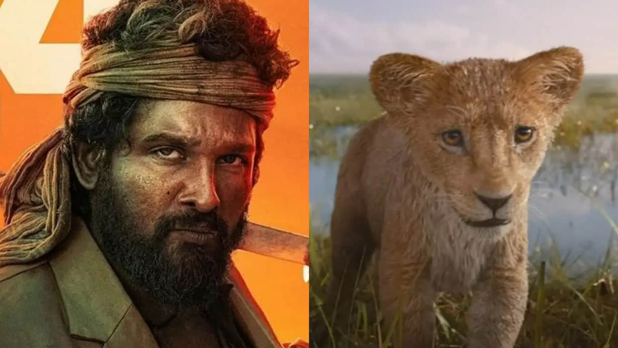 Box Office Collection report pushpa 2 the rule mufasa the lion king baby john total earnings in india