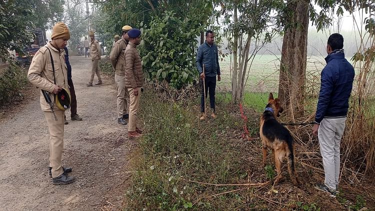 एलएलबी के छात्र की हत्या: बरेली में बदमाशों ने धारदार हथियार से किया हमला, खेत में पड़ा मिला लहूलुहान शव