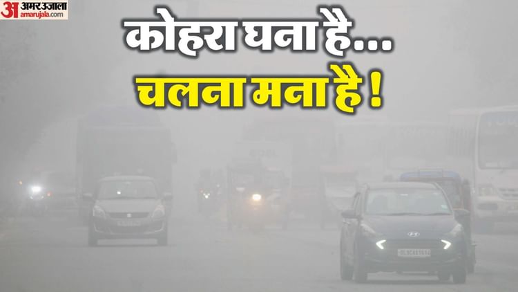 अब दिखा ठंड का प्रचंड रूप: ठंडी हवाओं ने बढ़ाई ठिठुरन, रविवार को घने कोहरे का यलो अलर्ट; फिर बरसेंगे बदरा
