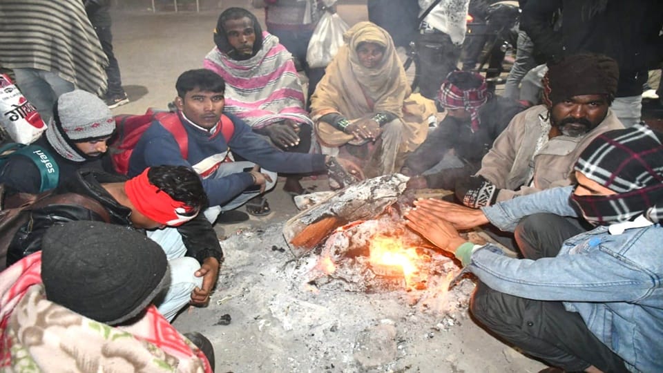 Cold wave in Haryana Weather News Today Weather