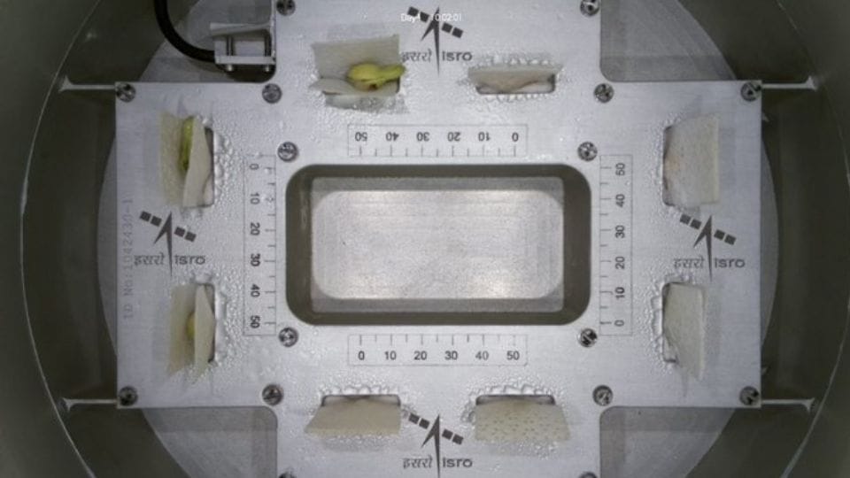 ISRO succeeded germinating cowpea seeds in just four days using micro-gravity in space