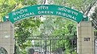 NGT issues notice on plea claiming misuse of forest land allotted for afforestation