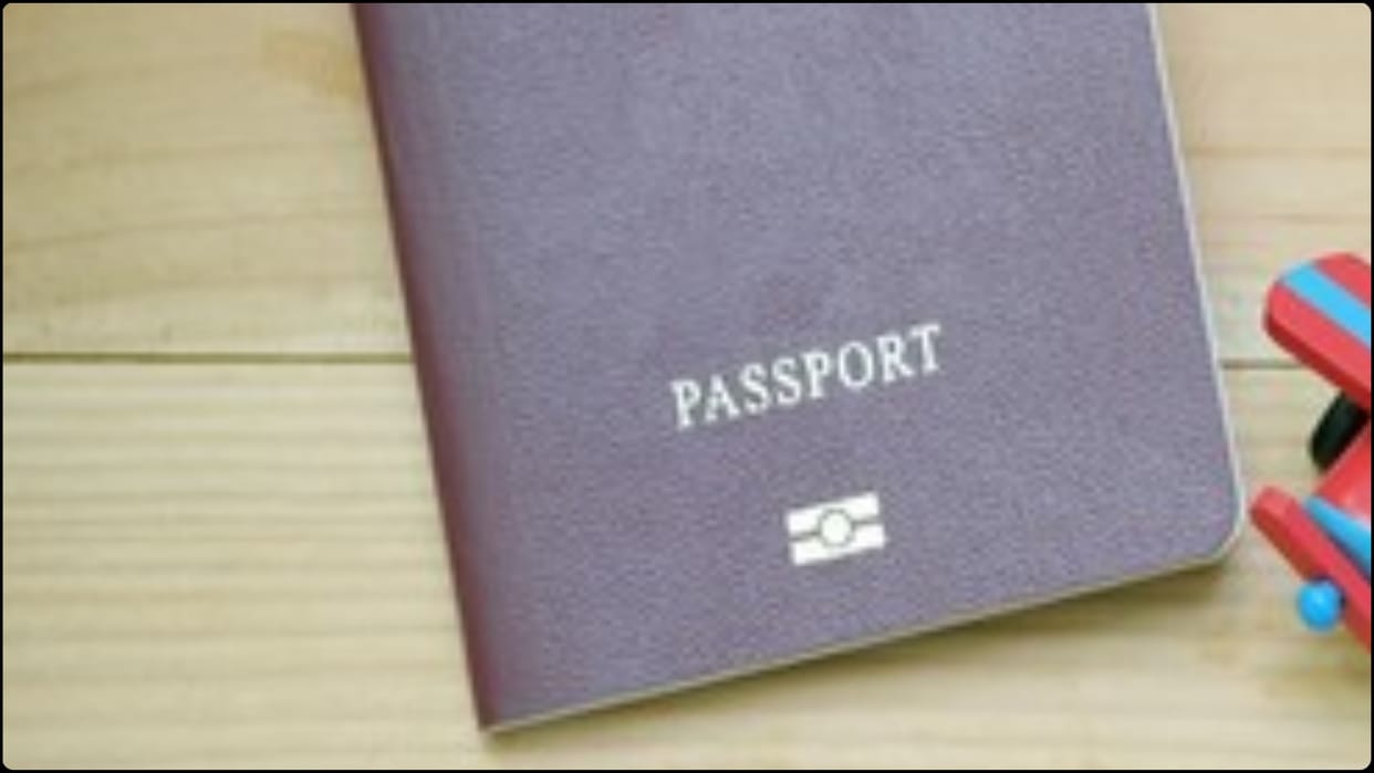 To Meet Labour Demands New Zealand Changes Visa Rules, Know how it may affect indian migrants