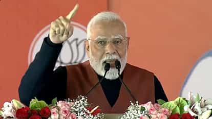 Delhi Assembly Elections: BJP gets booster dose from PM Modi's rally