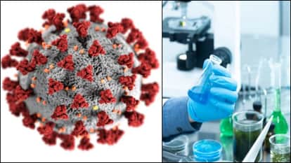 ह्यूमन मेटान्यूमो वायरस