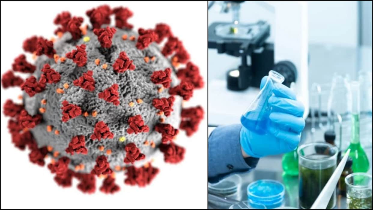Health: HMPV is increasing according to the season, WHO said there is no danger News In Hindi