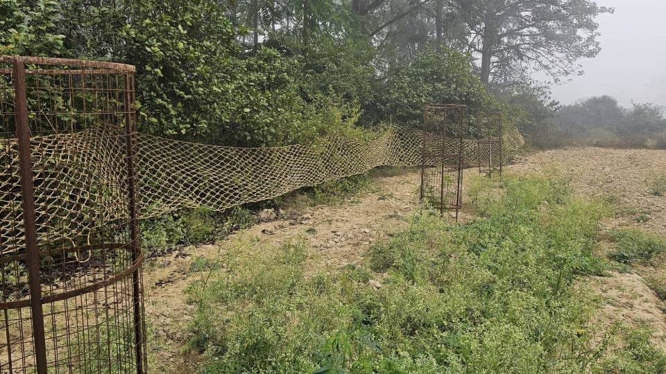forest department also tried honeytrap to catch tiger in Lucknow but unsuccessful caught 10th prey near cage