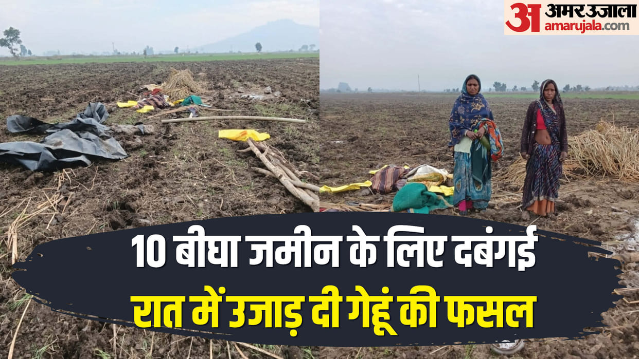 Guna Crime News Miscreants Attack Family over Land Dispute Know Inside Story in Hindi