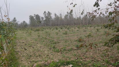 सांकेतिक तस्वीर