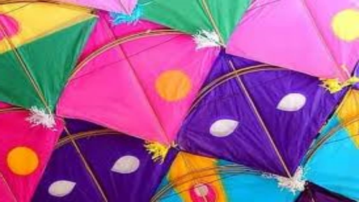 Rajasthan News: Collector issued orders for kite flying on Makar Sankranti, will be effective till Jan. 31