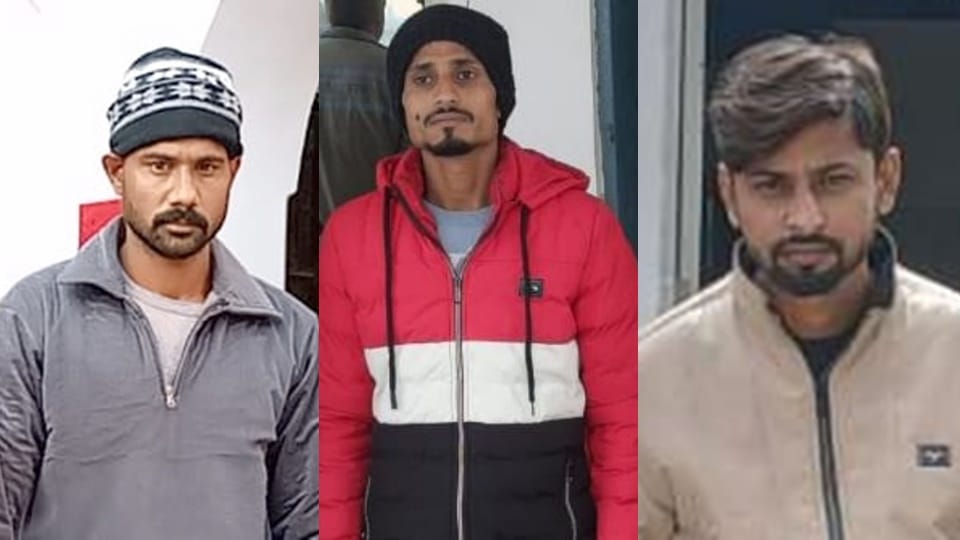 Female stone pelter arrested in Sambhal violence, Salim who fired at CO also arrested
