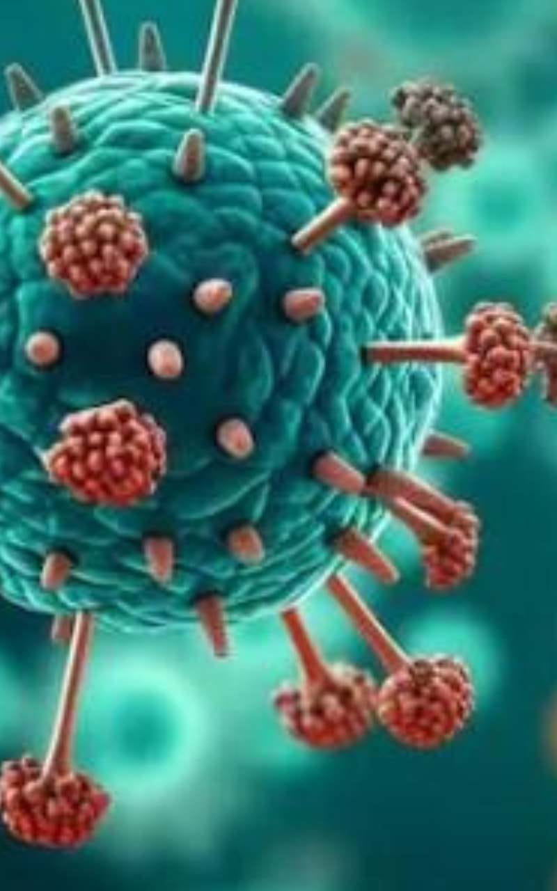 Jhansi: Viral attack increased, most patients suffering from fever, cough, pneumonia confirmed in 27%