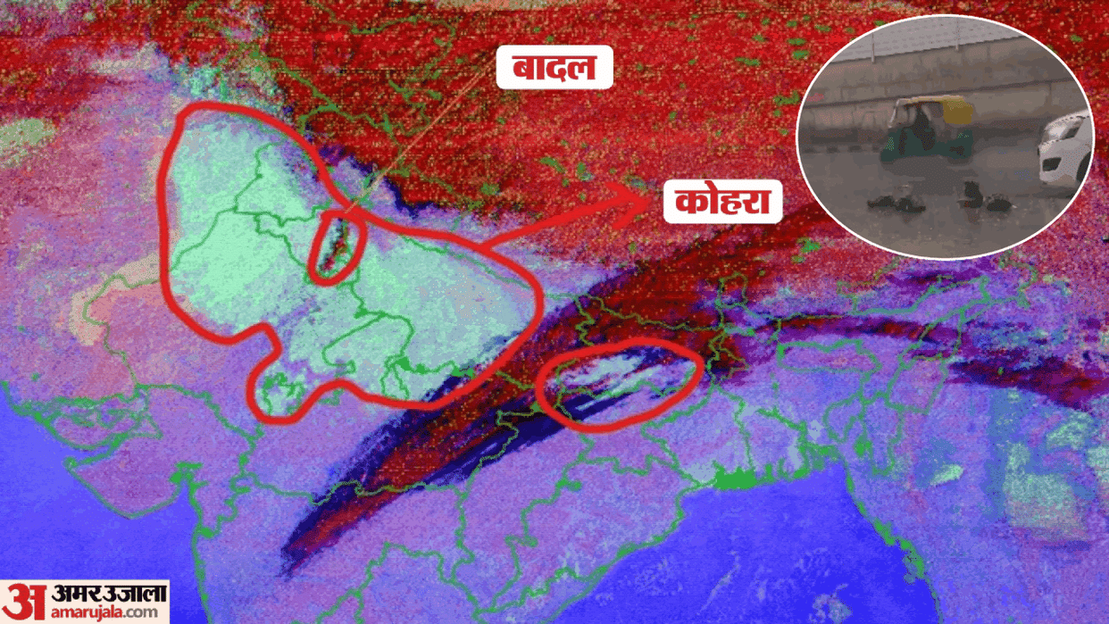 Delhi Weather Rain in many areas of ncr and blanket of fog see satellite picture