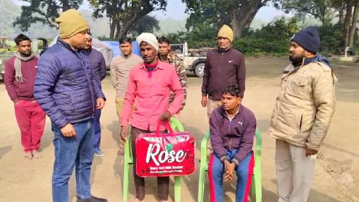 tiger attacked young man guarding his crop in lakhimpur kheri