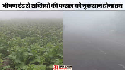 Frost is falling along with dense fog, damage to crops is certain.