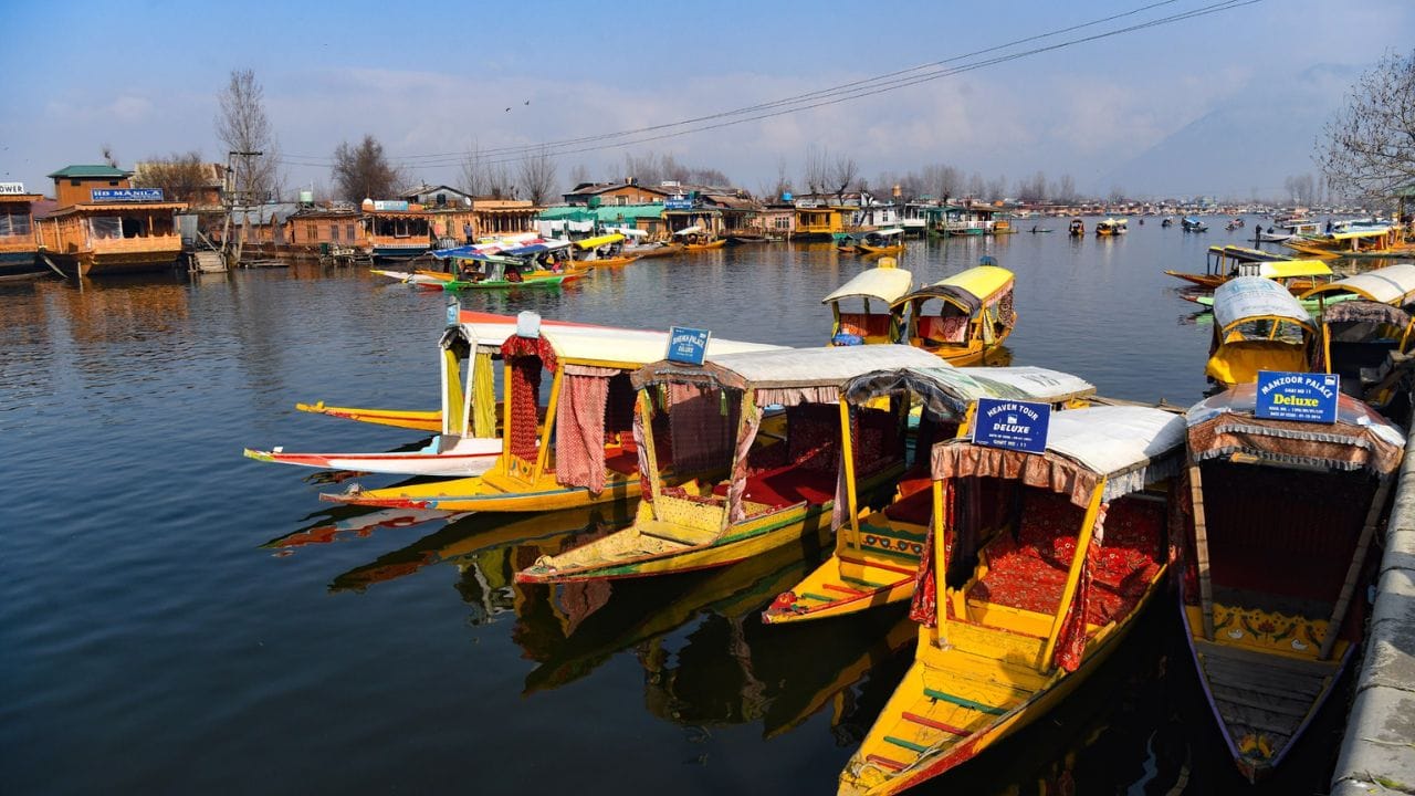 Srinagar Shikara: Tourists lost in Shikara ride, beauty of Kashmir spread in the sun on Dal Lake, see pictures