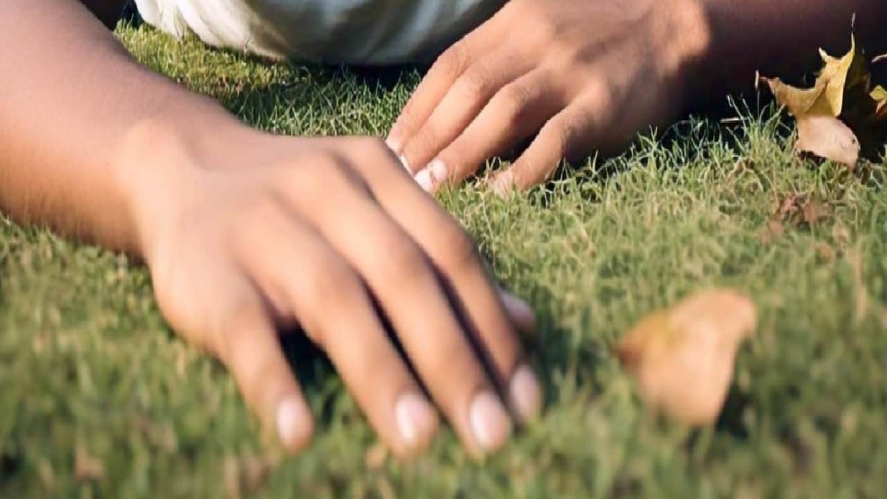 सांकेतिक तस्वीर