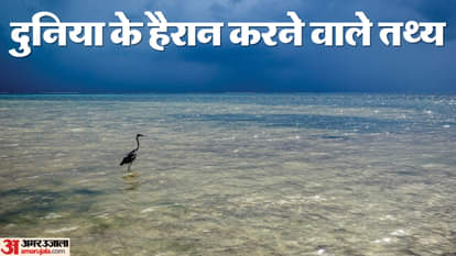 दुनिया के कुछ रोचक और हैरान करने वाले तथ्य